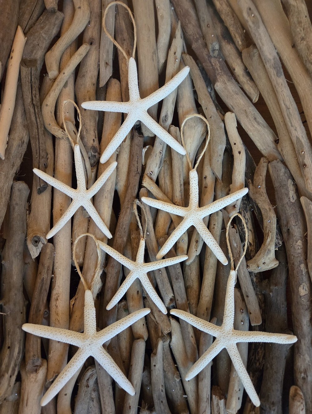 Coastal White Starfish Hanging Ornaments - Set of 6